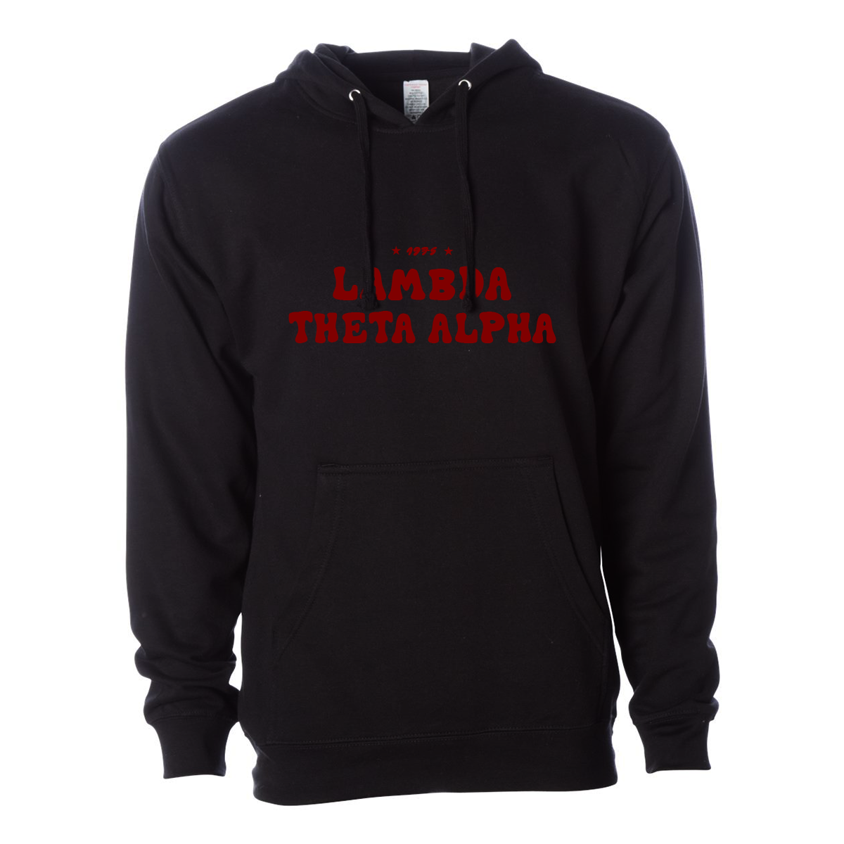 #Lambda Theta Alpha Hoodie, Bubble Print Design