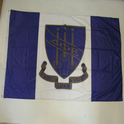 Delta Phi Epsilon Sorority Banner - GSTC-Banner