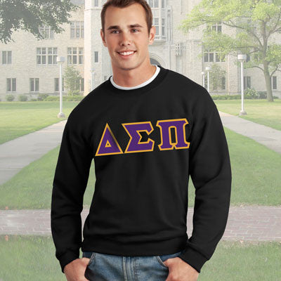 Delta sigma 2024 pi sweatshirt